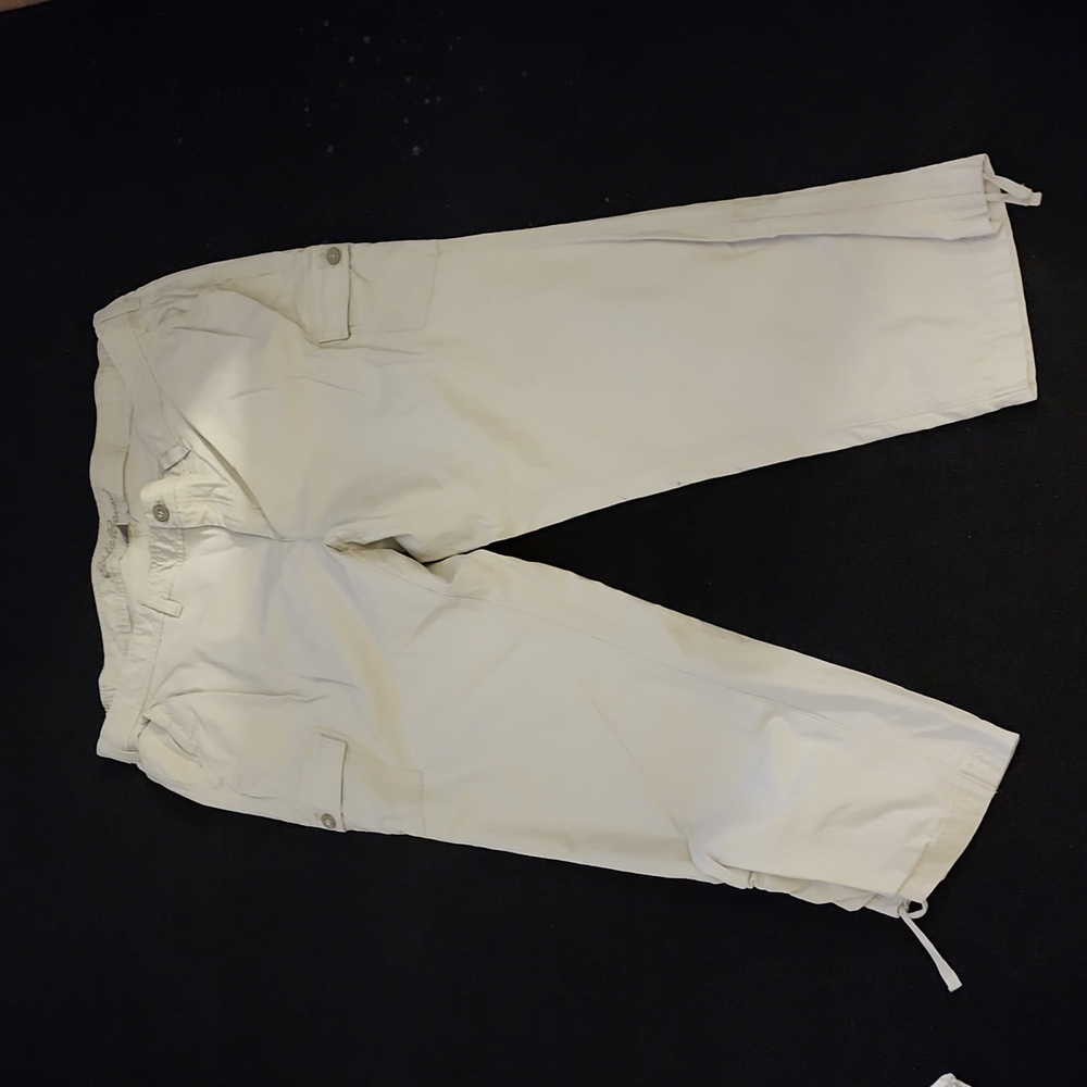 New Eddie Bauer cargo pants size 20